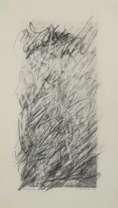 Crayon sur papier 2 - 24 x 42